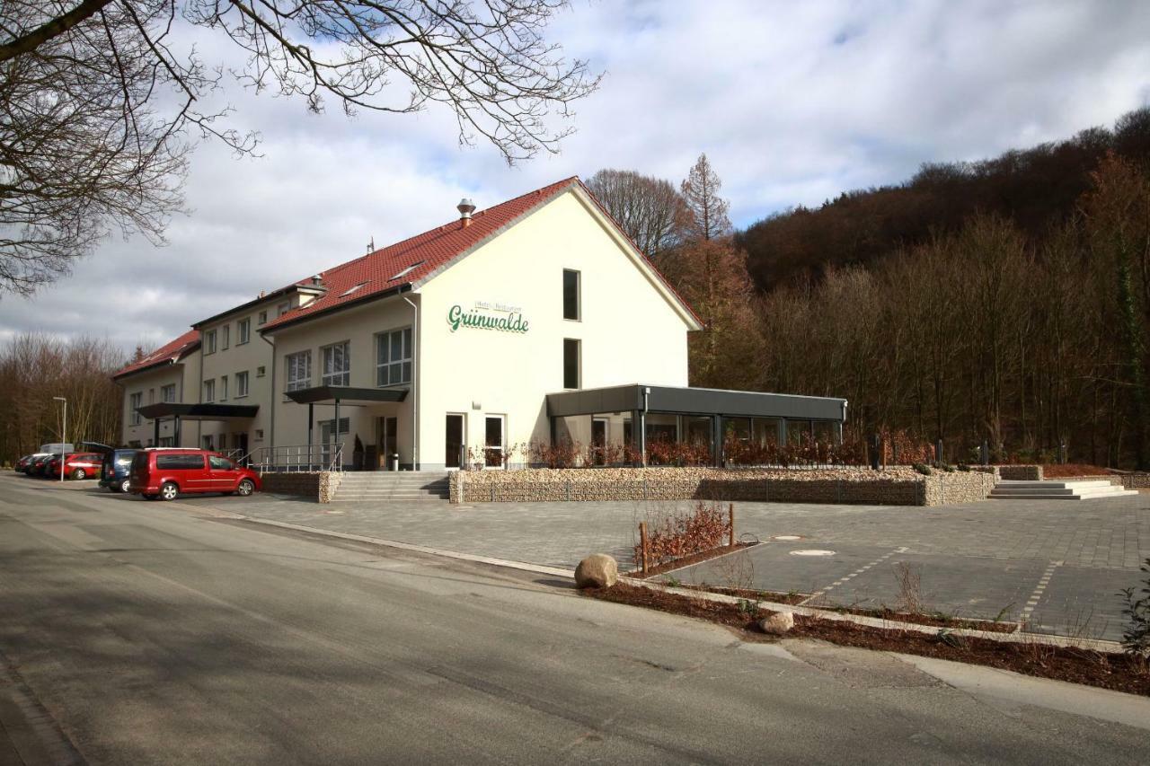 Hotel Gruenwalde Halle  Esterno foto